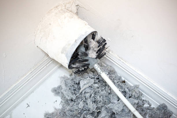 Professional Airduct Cleaning in Laingsburg, MI